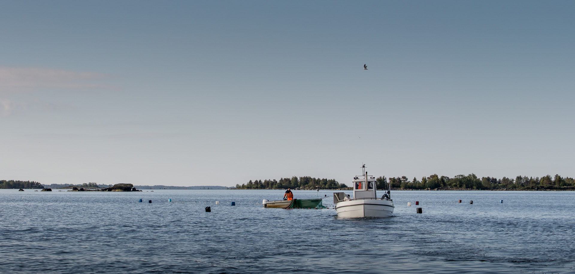 Blogi: Kaupallisen kalastuksen valvonta uudistuu – mikä muuttuu 2024