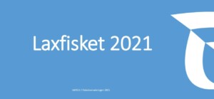 Laxfisket 2021